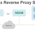 Nginx Installation Guide for Optimal Web Server Performance