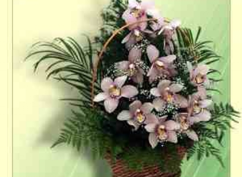 Цветы на праздник от компании Grand-flora.ru.
