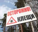 Мелкий, но опасный!