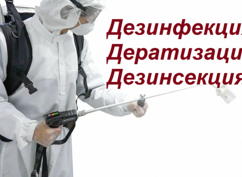 Три кита чистоты: почему дезинфекция, дезинсекция и дератизация работают только в связке