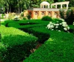 Доверьте озеленение участка компании “Садовые технологии”