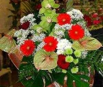 Доставка цветов и ее преимущества